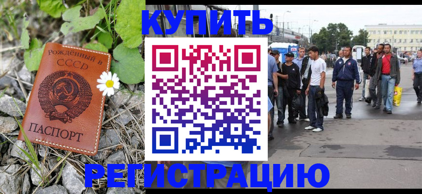 прописка гарантия в Нелидово